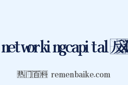 networkingcapital反义词是什么意思的图片